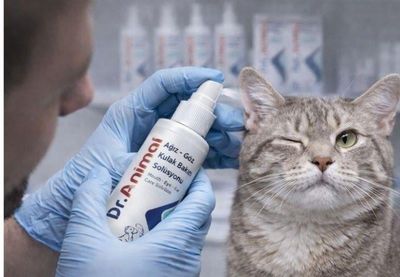 Dr.animal Yara Ve Cilt Bakım Solüsyonu 100 Ml