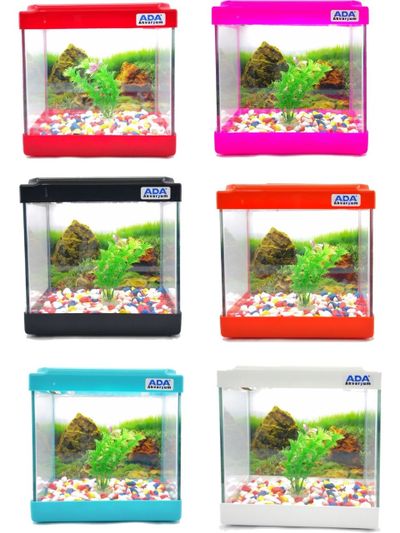 Mini Akvaryum 20X20X15 Akvaryum