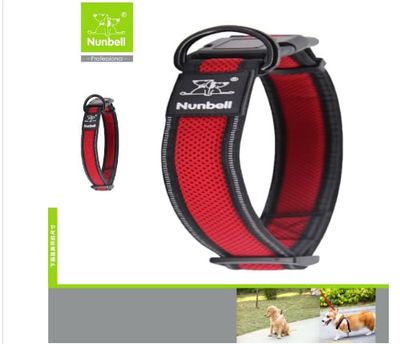 Nunbell Köpek Boyun Tasması Air Mesh  2,5 cm