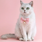 Kedi İnci Kolye