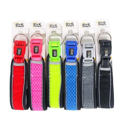 Ally Paws Dog Collar Köpek Boyun Tasması Large 2,5cmx40-60cm