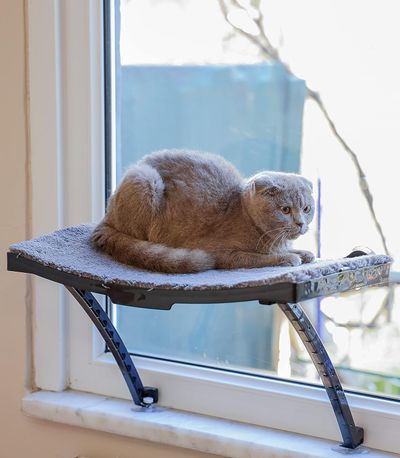 Cam Ve Duvar İçin Kedi Yatağı Vantuzlu
