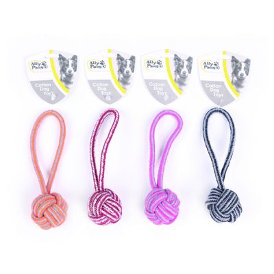 10619-Ally Paws Köpekler İçin Diş İpi 20cm