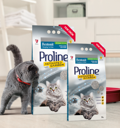 Proline Aktif Karbonlu Topraklanan Kedi Kumu (10 L)