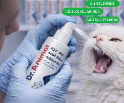 Dr.animal Yara Ve Cilt Bakım Solüsyonu 100 Ml