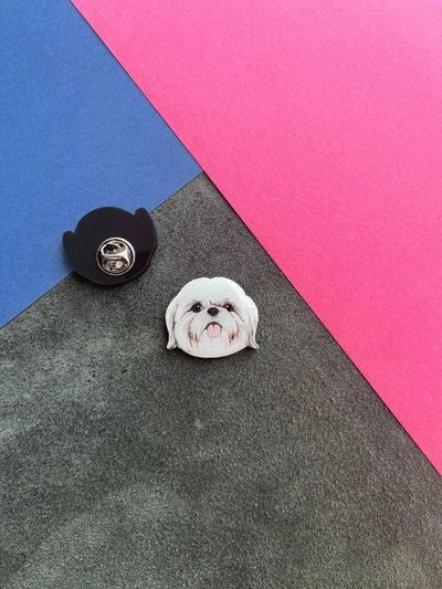 Shihtzu | Yaka Rozeti