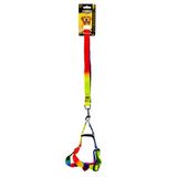 Gökkuşağı Kedi&Köpek Göğüs Tasması + Gezdirme Kayışı 1CM - 202494