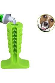 Köpek Diş Fırçası Isırma Aparatı Küçük Boy