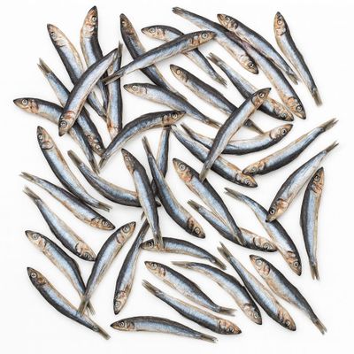 Hamsi Atıştırmalık Ödül Maması 80 GRAM Kediler İçin