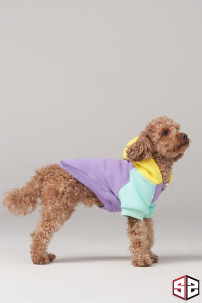 Salya Store Positive Vibes Küçük Irklar İçin Köpek Kıyafeti KK-127