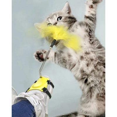 Ayağa Takılan Kedi Oyun Oltası