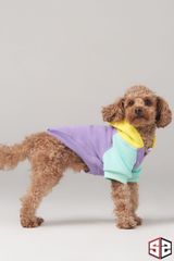 Salya Store Positive Vibes Küçük Irklar İçin Köpek Kıyafeti KK-127