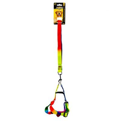 Gökkuşağı Kedi&Köpek Göğüs Tasması + Gezdirme Kayışı 1CM - 202494