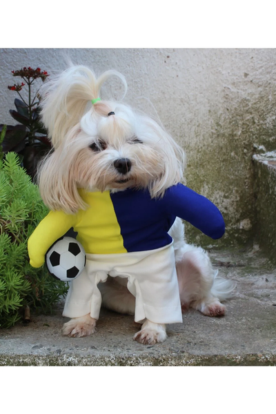 Taraftar SARI LACIVERT Onden Giydirmeli Köpek Kıyafeti Kostümü