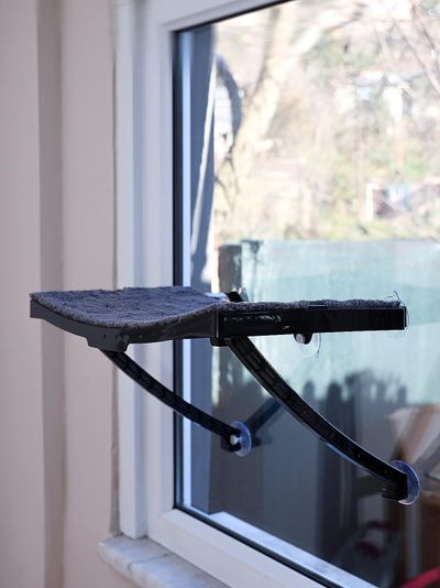 Cam Ve Duvar İçin Kedi Yatağı Vantuzlu