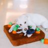 SİZİN İÇİN ÜRÜNLER