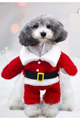 Noel baba Onden giydirme Köpek Kıyafeti Kostümü