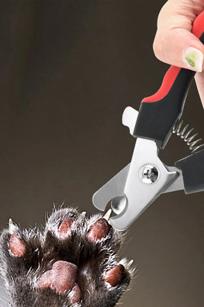 Kedi Köpek Tırnak Makası Ve Törpü Seti Evcil Hayvan Tırnak Bakımı 16 cm