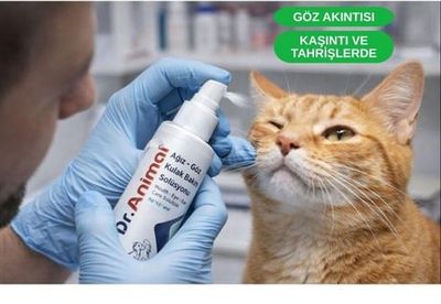 Dr.animal Yara Ve Cilt Bakım Solüsyonu 100 Ml
