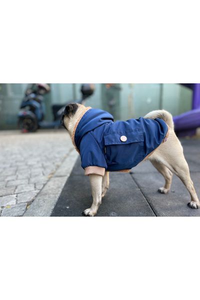 İndigo Design Köpek Su Geçirmez Mont Yağmurluk Km-100