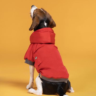 Intense Köpek Su Geçirmez Mont Yağmurluk Kk-117 Red