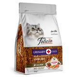 Felicia Düşük Tahıllı Yetişkin Kısır Somonlu Kedi Maması 1000 gr