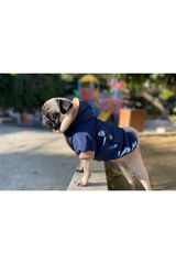 İndigo Design Köpek Su Geçirmez Mont Yağmurluk Km-100