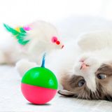 Hacı Yatmaz Kedi Oyuncak