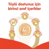 Wanpy Somonlu Kaşıklı Kedi Ödül Kreması 16 gr 1 Adet