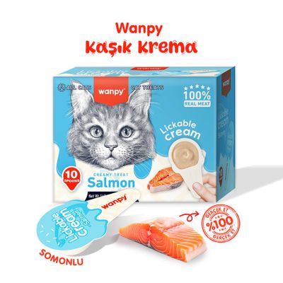 Wanpy Somonlu Kaşıklı Kedi Ödül Kreması 16 gr 1 Adet