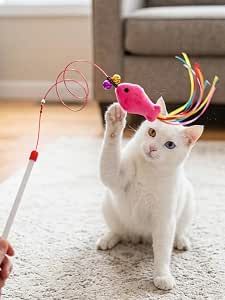 Balık Motifli ve Metal Telli  Kedi Oyun Oltası