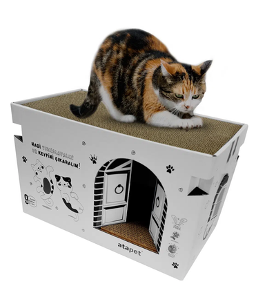 Karton Kedi Tırmalama ve Dinlenme Evi