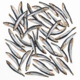 Hamsi Atıştırmalık Ödül Maması 80 GRAM Kediler İçin