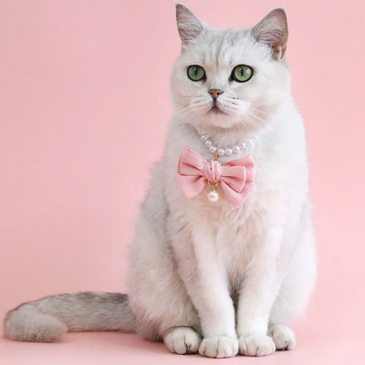 Kedi İnci Kolye