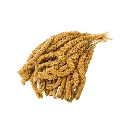 Doğal Dal Darı 100 gr.