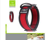Nunbell Köpek Boyun Tasması Air Mesh  2,5 cm