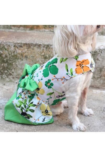 Cicekli Köpek Elbisesi Yesil